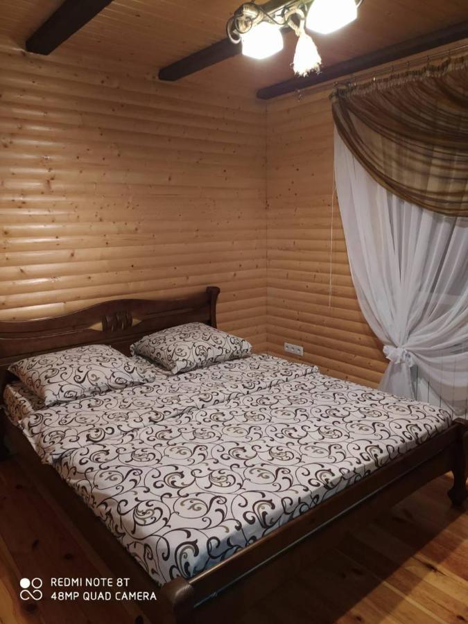 Карпатські Зорі Villa Pilipets Exterior foto