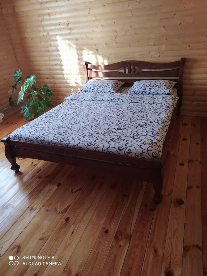 Карпатські Зорі Villa Pilipets Exterior foto