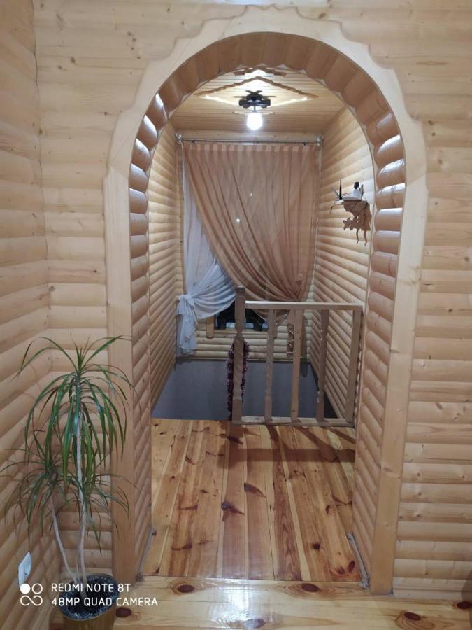 Карпатські Зорі Villa Pilipets Exterior foto